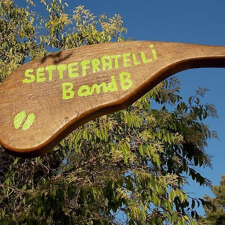 B&B Sette Fratelli San Gregorio  Dış mekan fotoğraf