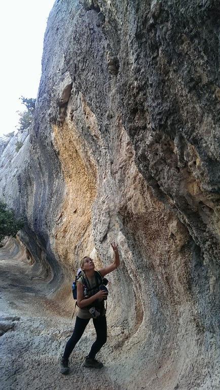 B&B Sette Fratelli San Gregorio  Dış mekan fotoğraf