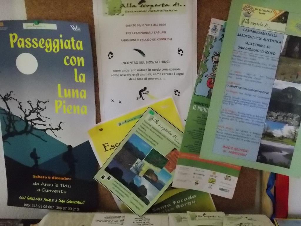 B&B Sette Fratelli San Gregorio  Dış mekan fotoğraf