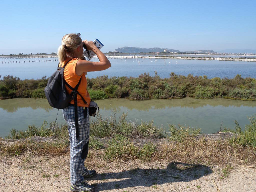 B&B Sette Fratelli San Gregorio  Dış mekan fotoğraf