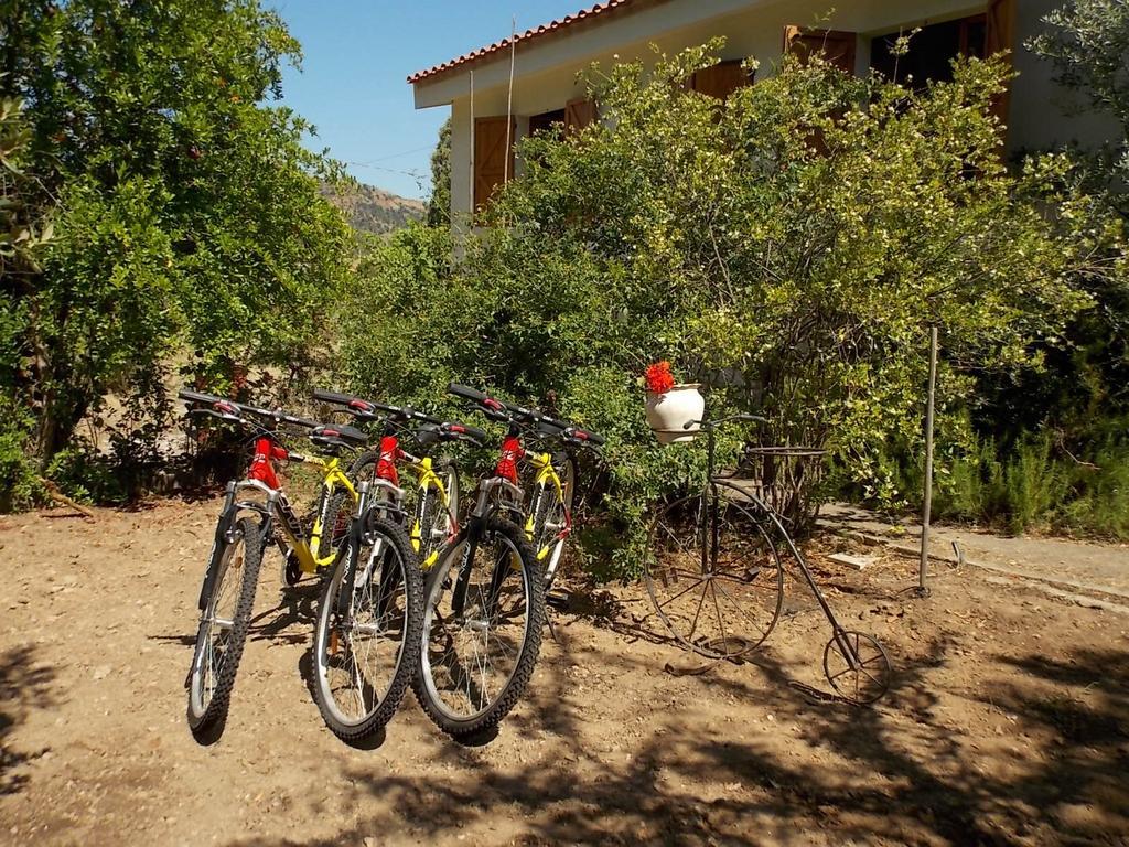 B&B Sette Fratelli San Gregorio  Dış mekan fotoğraf
